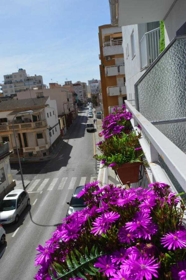 Hostal Mar del Plata El Arenal  Exterior foto
